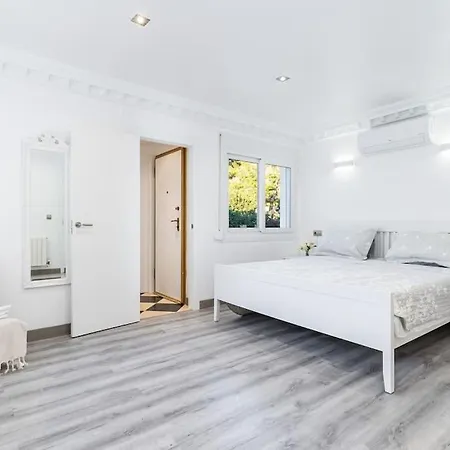 Entire Large Next To Award-winning * Campoamor